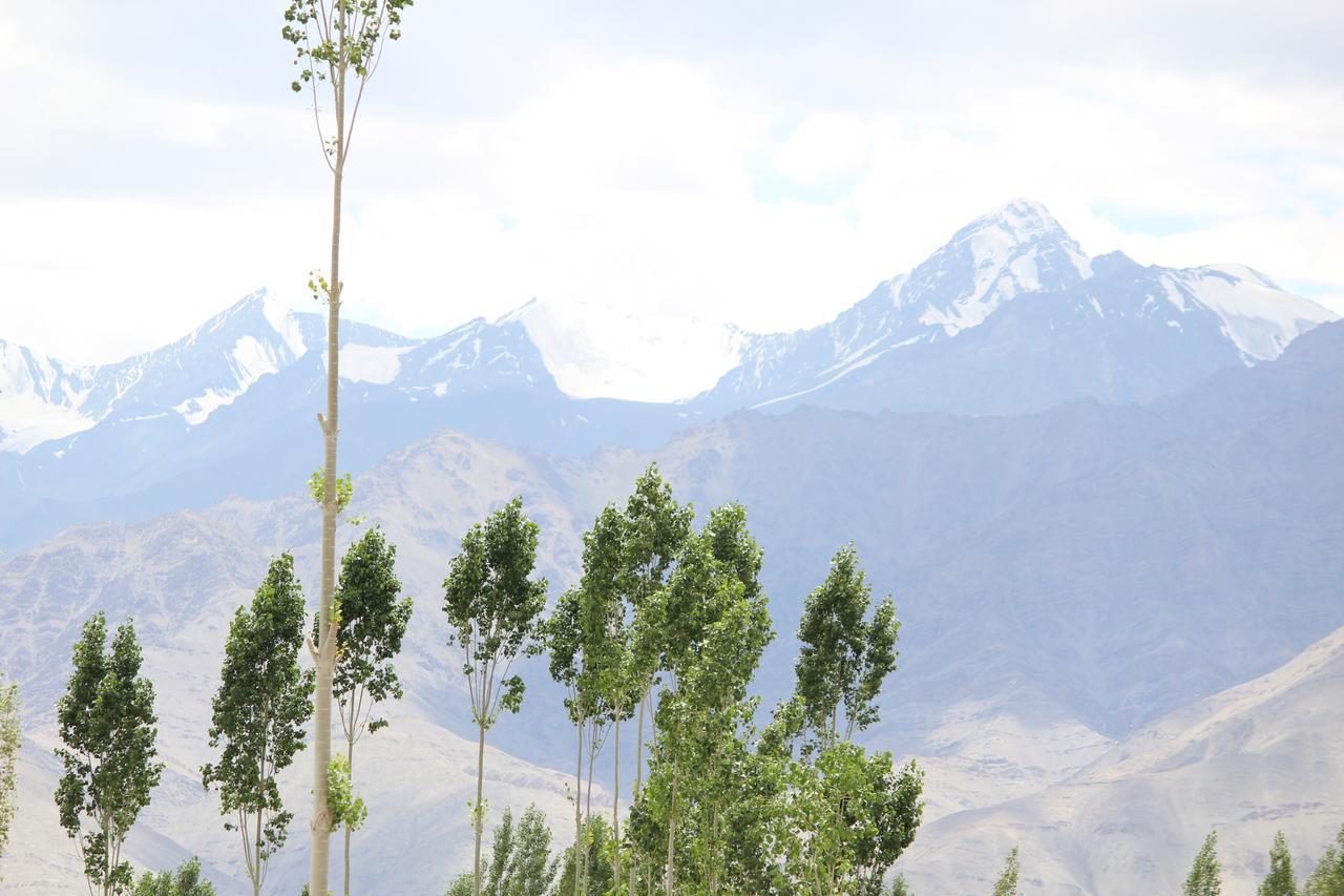 Hotel Kasdar Ladakh Leh Eksteriør bilde